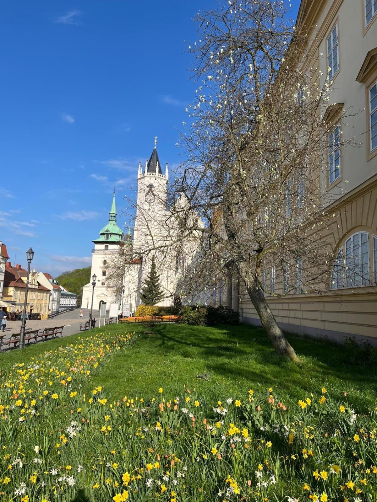 Vila Adela - Teplice Luaran gambar